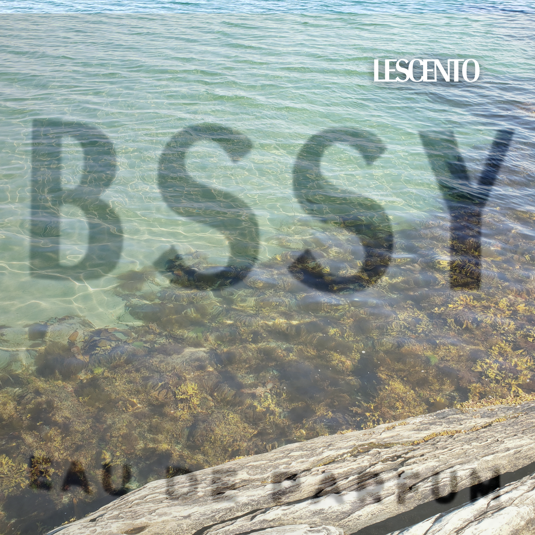 How a Perfume Is Born : From Imagination to Essence