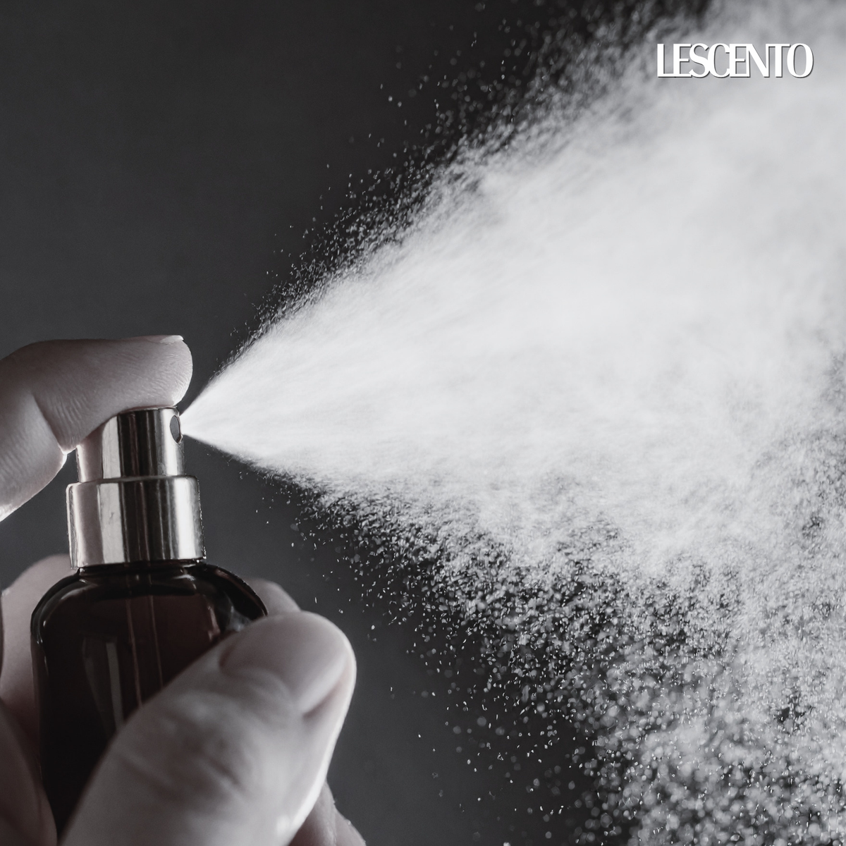 Niche vs. Designer Perfumes: What Makes Them Different?