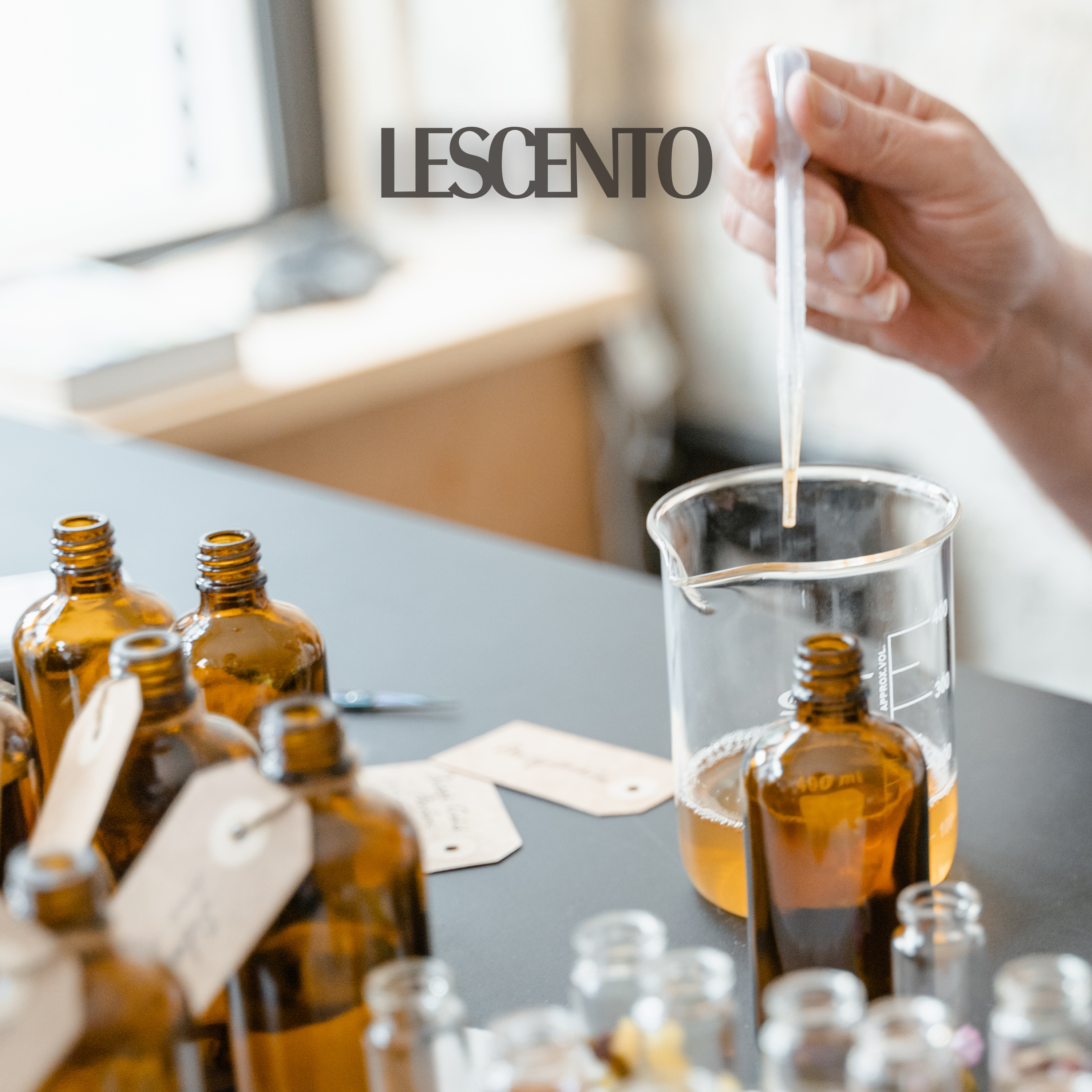 The Illusion of Notes: Why Perfume Is More Than the Sum of Its Parts