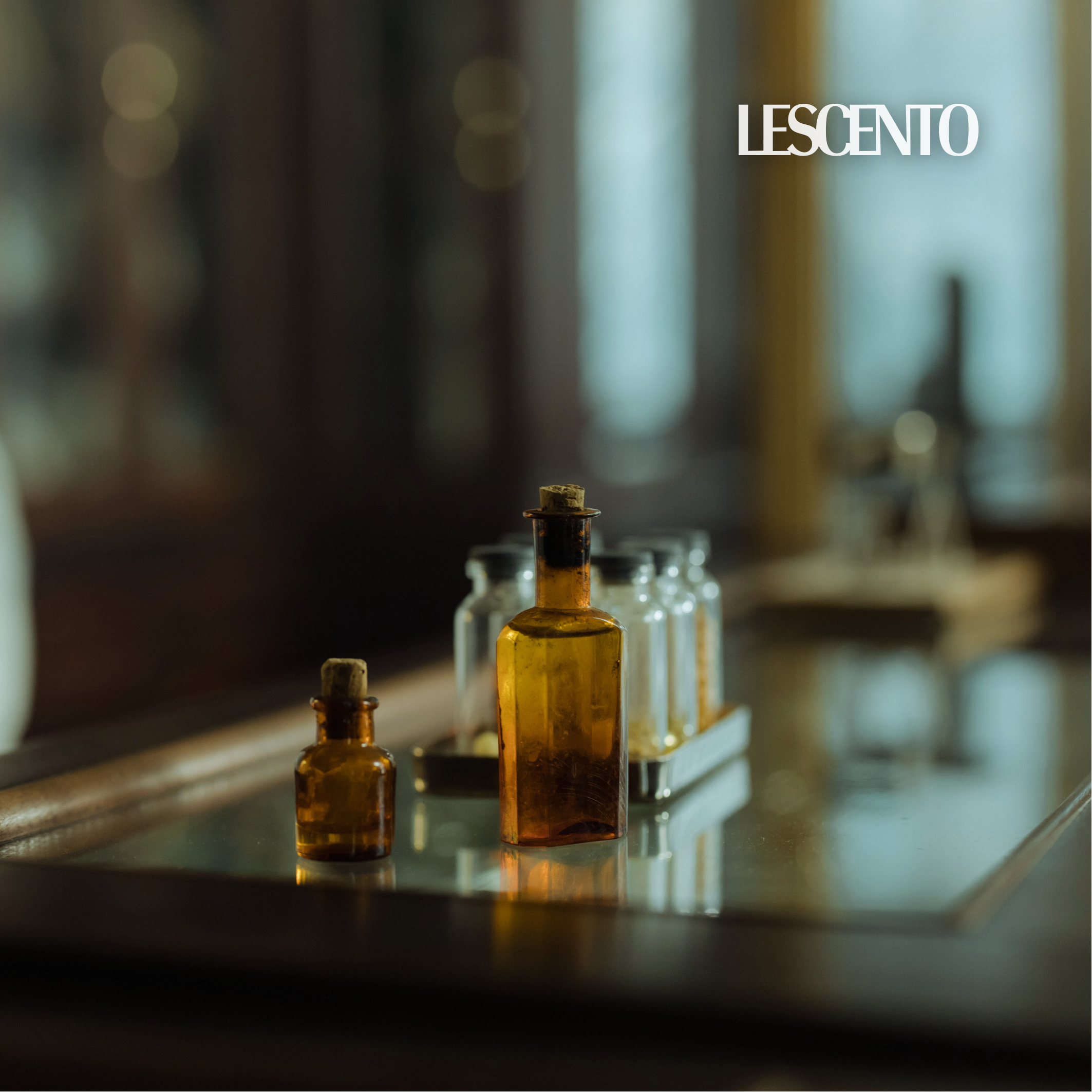 Do Fragrance Notes Really Matter? An Insight Into the Art Behind the Scent