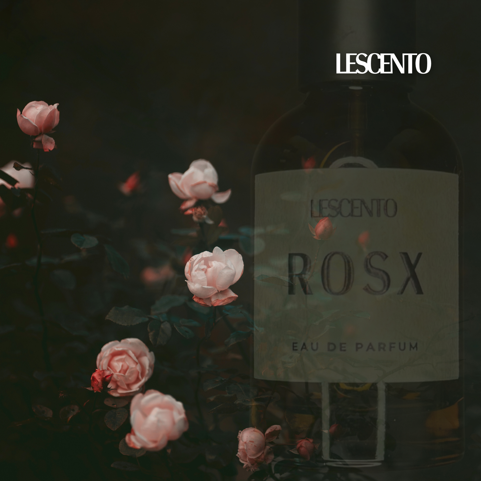ROSX Eau de Parfum: The Scent of a Rose Garden Breathing After Rain