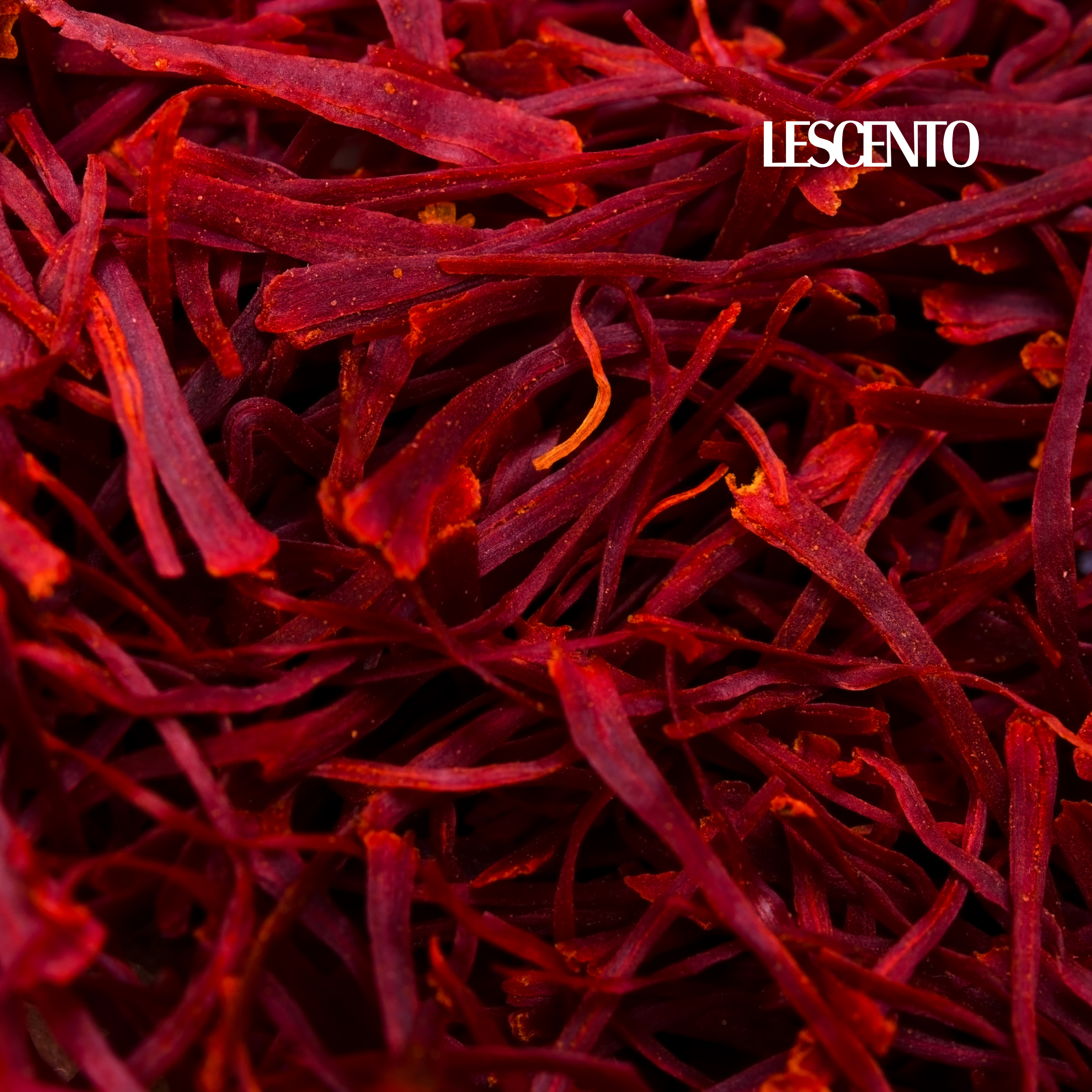 The Rise of Saffron in Niche Fragrances: Opulence in a Drop