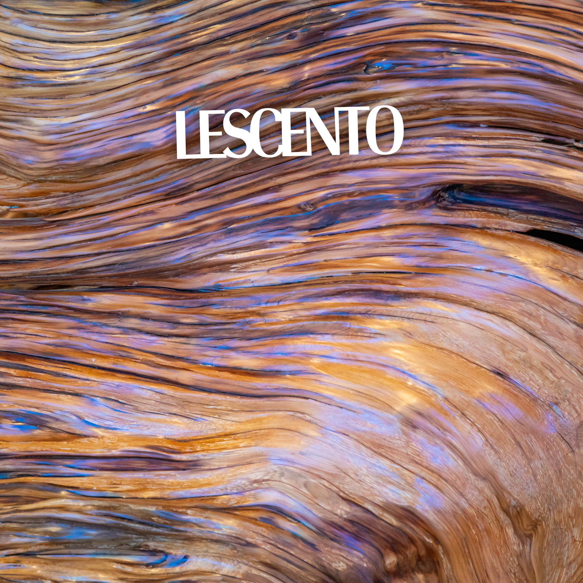 Sandalwood: A Timeless Symbol of Elegance and Strength