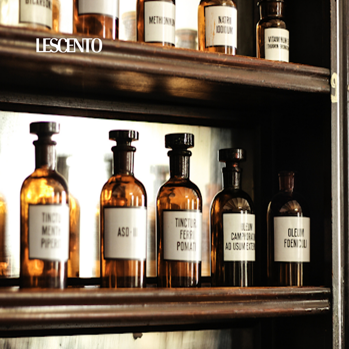 Why We Love Certain Scents: How Upbringing, Geography and Memory Shape